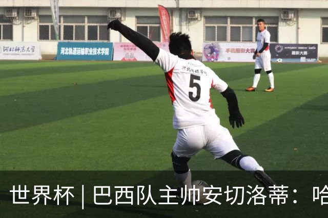 世界杯 | 巴西队主帅安切洛蒂：哈兰德决定了比赛胜负