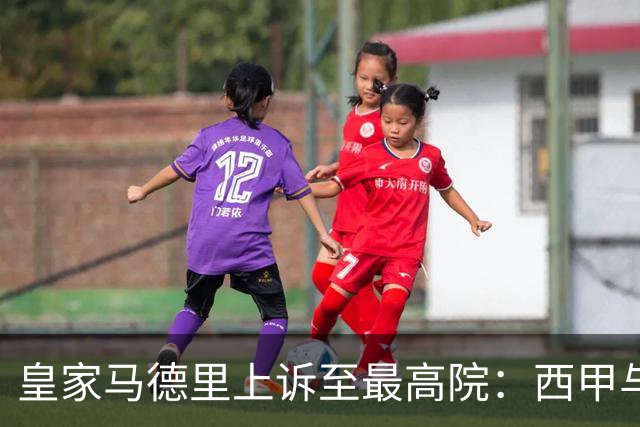 皇家马德里上诉至最高院：西甲与私募资本交易的世纪博弈
