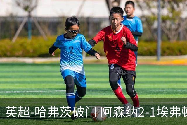 英超-哈弗茨破门 阿森纳2-1埃弗顿屈居亚军