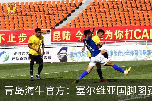青岛海牛官方：塞尔维亚国脚图费格季奇加盟球队
