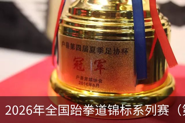 2026年全国跆拳道锦标系列赛（第二站）在广州举行